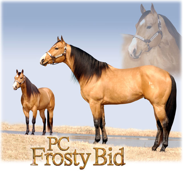 Billy Etbauer Performance Horses | PC Frosty Bid